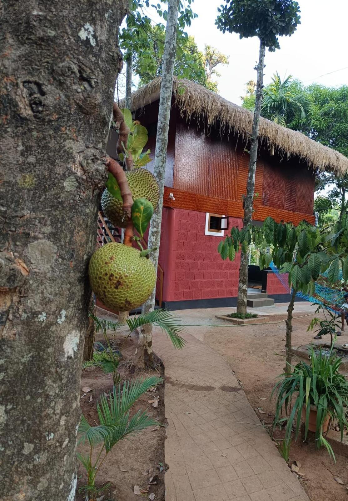 Kuruva Shoreline Wayanad Chegat Экстерьер фото